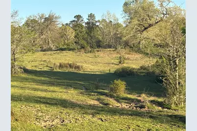 Tbd Cr4120, Lovelady, TX 75851 - Photo 7