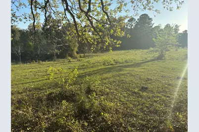 Tbd Cr4120, Lovelady, TX 75851 - Photo 5