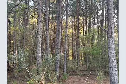 Tbd Cr4120, Lovelady, TX 75851 - Photo 17