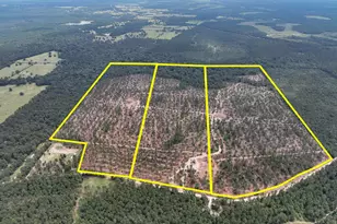 33 Boontown Rd, Groveton, TX 75845 - Photo 1