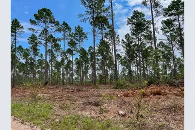 33 Boontown Road, Groveton, TX 75845 - Photo 7