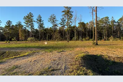 20039 Kincaid Drive, Conroe, TX 77306 - Photo 1