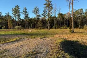 20039 Kincaid Dr, Conroe, TX 77306 - Photo 1