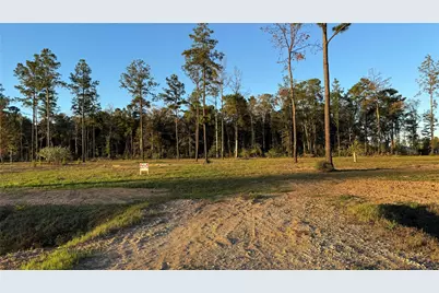 20039 Kincaid Drive, Conroe, TX 77306 - Photo 5