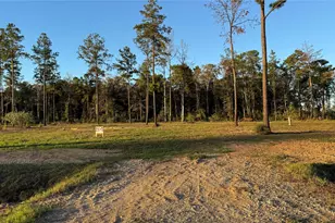 20039 Kincaid Dr, Conroe, TX 77306 - Photo 5