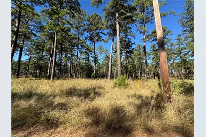 063 Private Road 6026, Brookeland, TX 75931 - Photo 3