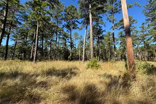 063 Private Road 6026, Brookeland, TX 75931 - Photo 3