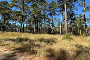 063 Private Road 6026, Brookeland, TX 75931 - Photo 1