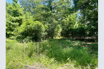 31018 Green Tree Road, Magnolia, TX 77354 - Photo 21