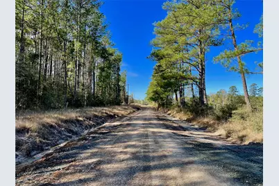 6 +/- Acs Cr 3400, Colmesneil, TX 75938 - Photo 3