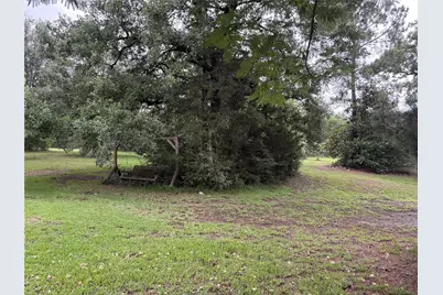 5152 Richardson Road E, Livingston, TX 77351 - Photo 3