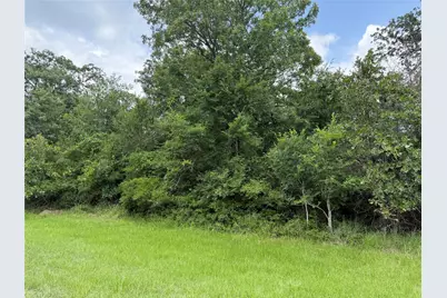 0 Lake Wood Drive, Marquez, TX 77865 - Photo 1