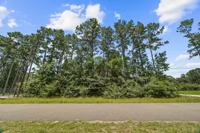 19263 Purus Drive, Porter, TX 77365 - Photo 5