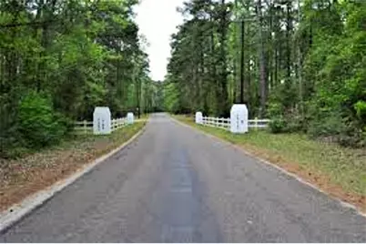 Tr 29 Oak Pine Drive, Livingston, TX 77351 - Photo 9