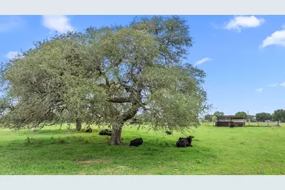 1342 Fm 2434, Weimar, TX 78962 - Photo 47