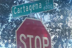 6010 Cartagena St, Houston, TX 77035 - Photo 37