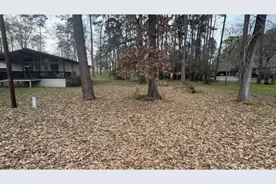 566 Gov Wood Drive, Point Blank, TX 77364 - Photo 9