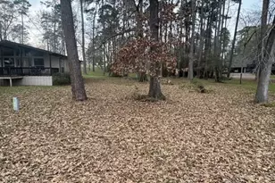 566 Gov Wood Dr, Point Blank, TX 77364 - Photo 9