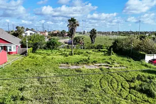 10730 Termini-San Luis Pass Rd, Galveston, TX 77554 - Photo 1