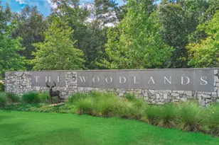 91 Wind Ridge Cir, The Woodlands, TX 77381 - Photo 47