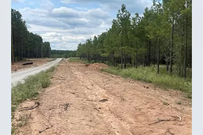 Tbd Queen Anne Way, Huntsville, TX 77340 - Photo 5