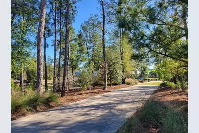 17351 Merigold Heights Drive, Conroe, TX 77302 - Photo 41