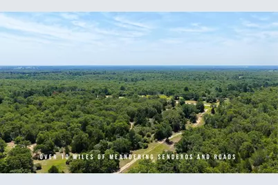 Tbd County Road 405 - 839 Acres, Lexington, TX 78947 - Photo 5