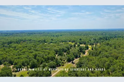 Tbd County Road 405 - 839 Acres, Lexington, TX 78947 - Photo 15