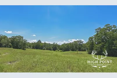 Tbd County Road 405 - 839 Acres, Lexington, TX 78947 - Photo 19