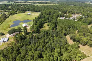 188 State Hwy 150, New Waverly, TX 77358 - Photo 21