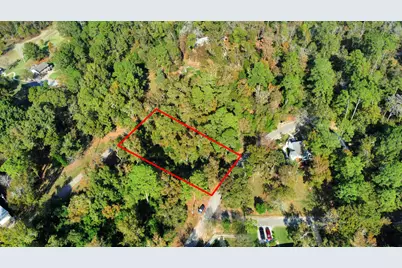 Lot 37 Loper Lake Drive, Livingston, TX 77351 - Photo 3