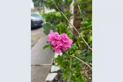 21839 Manitou Falls Lane, Katy, TX 77449 - Photo 35