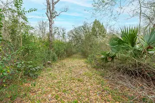 9103 Lazy Ln, Hitchcock, TX 77563 - Photo 5
