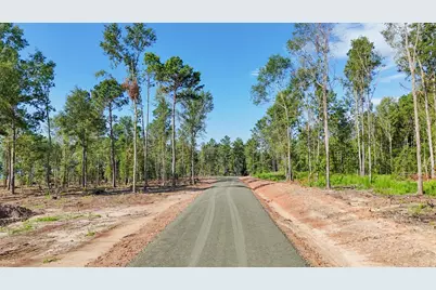 162 Foster Cove, Pineland, TX 75968 - Photo 9