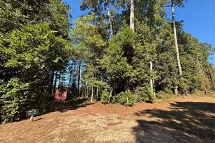 00 L C Herschap Ln, Livingston, TX 77351 - Photo 1