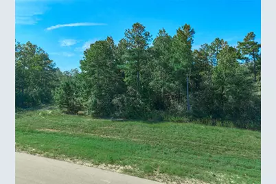 11911 Grand North Road, Willis, TX 77378 - Photo 7