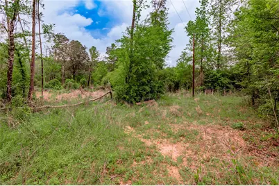 0000 Big Foot Wallace Trail, Livingston, TX 77351 - Photo 13