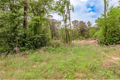 0000 Big Foot Wallace Trail, Livingston, TX 77351 - Photo 17