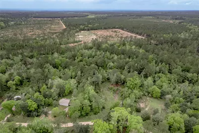 0000 Big Foot Wallace Trail, Livingston, TX 77351 - Photo 29
