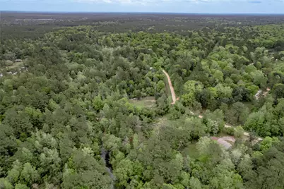 0000 Big Foot Wallace Trail, Livingston, TX 77351 - Photo 31