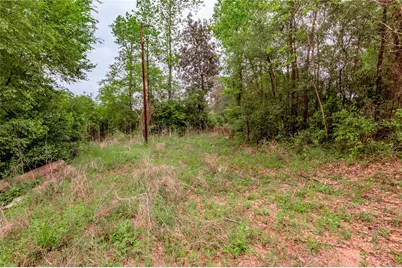 0000 Big Foot Wallace Trail, Livingston, TX 77351 - Photo 15