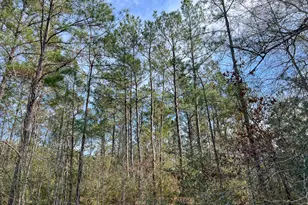 T-1 Zavalla Rd, Mauriceville, TX 77626 - Photo 1