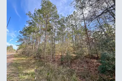 T-1 Zavalla Road, Mauriceville, TX 77626 - Photo 3