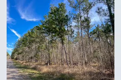 T-1 Zavalla Road, Mauriceville, TX 77626 - Photo 5