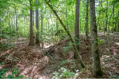 1068 County Road 3200, Colmesneil, TX 75938 - Photo 41