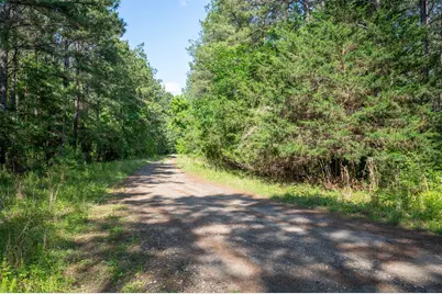 1068 County Road 3200, Colmesneil, TX 75938 - Photo 45