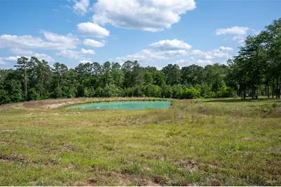 1068 County Road 3200, Colmesneil, TX 75938 - Photo 7