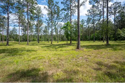 1068 County Road 3200, Colmesneil, TX 75938 - Photo 39