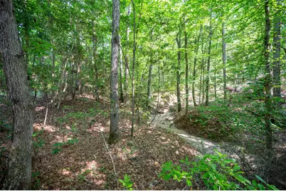 1068 County Road 3200, Colmesneil, TX 75938 - Photo 11