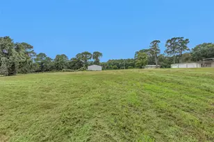 Lot 1 Paradise Point, Willis, TX 77318 - Photo 9